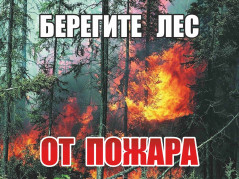 Лесные пожары